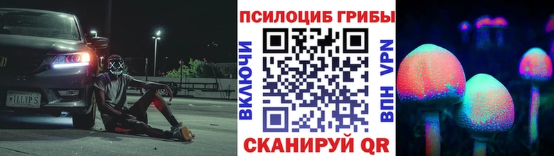 Галлюциногенные грибы Cubensis  Брюховецкая 
